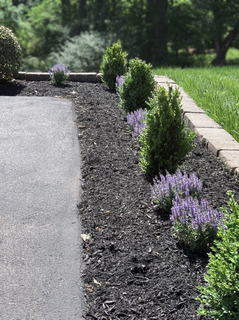 Front yard mulch refresh and shrub pruning by Green Life Landscaping in Burtonsville, MD