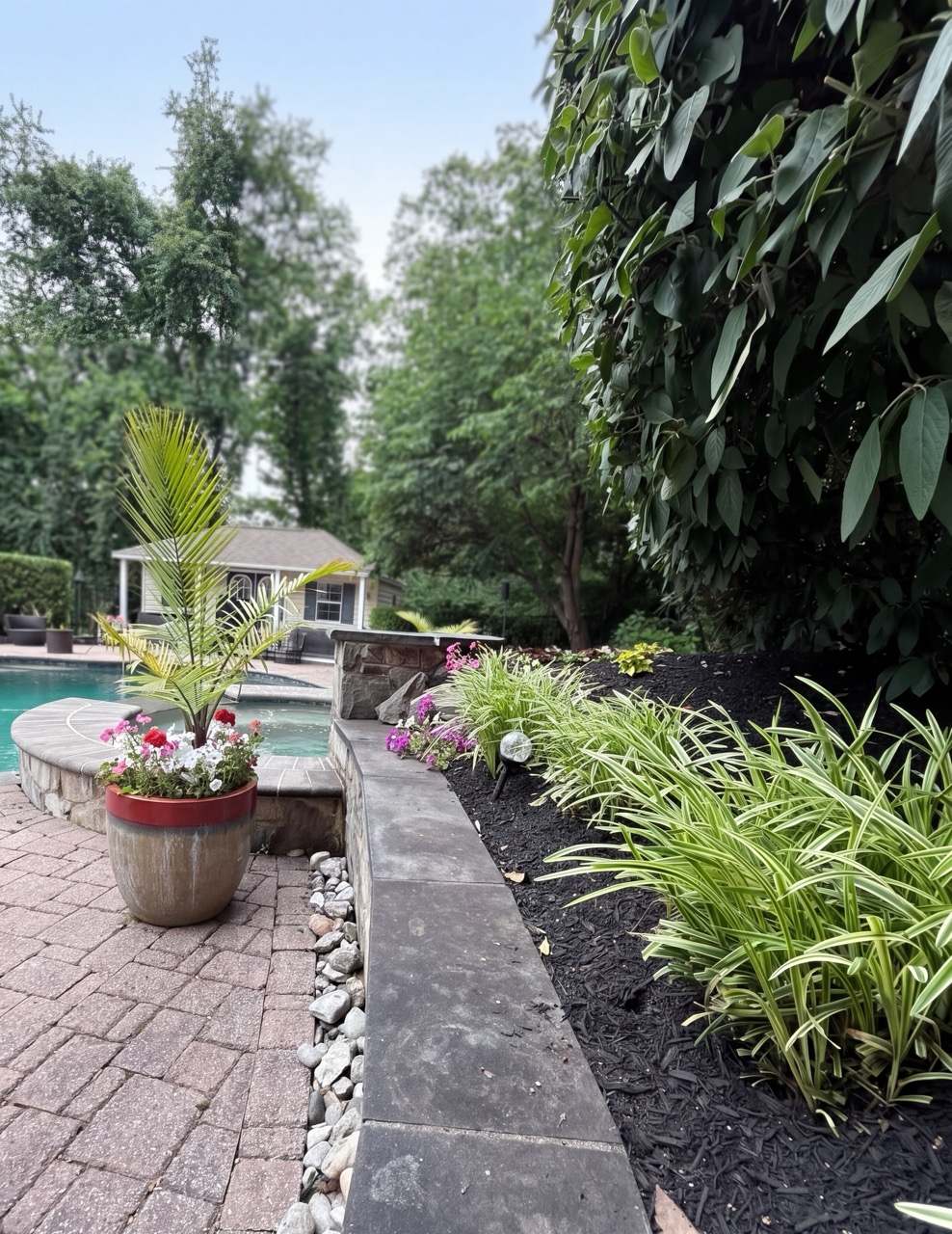 Poolside landscape bed with palms, daylilies, and fresh mulch by Green Life Landscaping