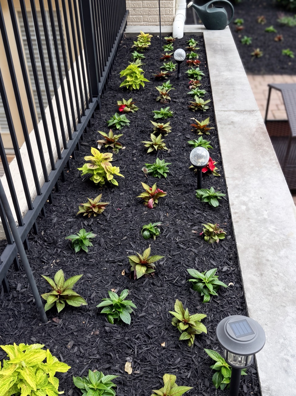 Geometric mulched planting bed with patterned shrubs by Green Life Landscaping