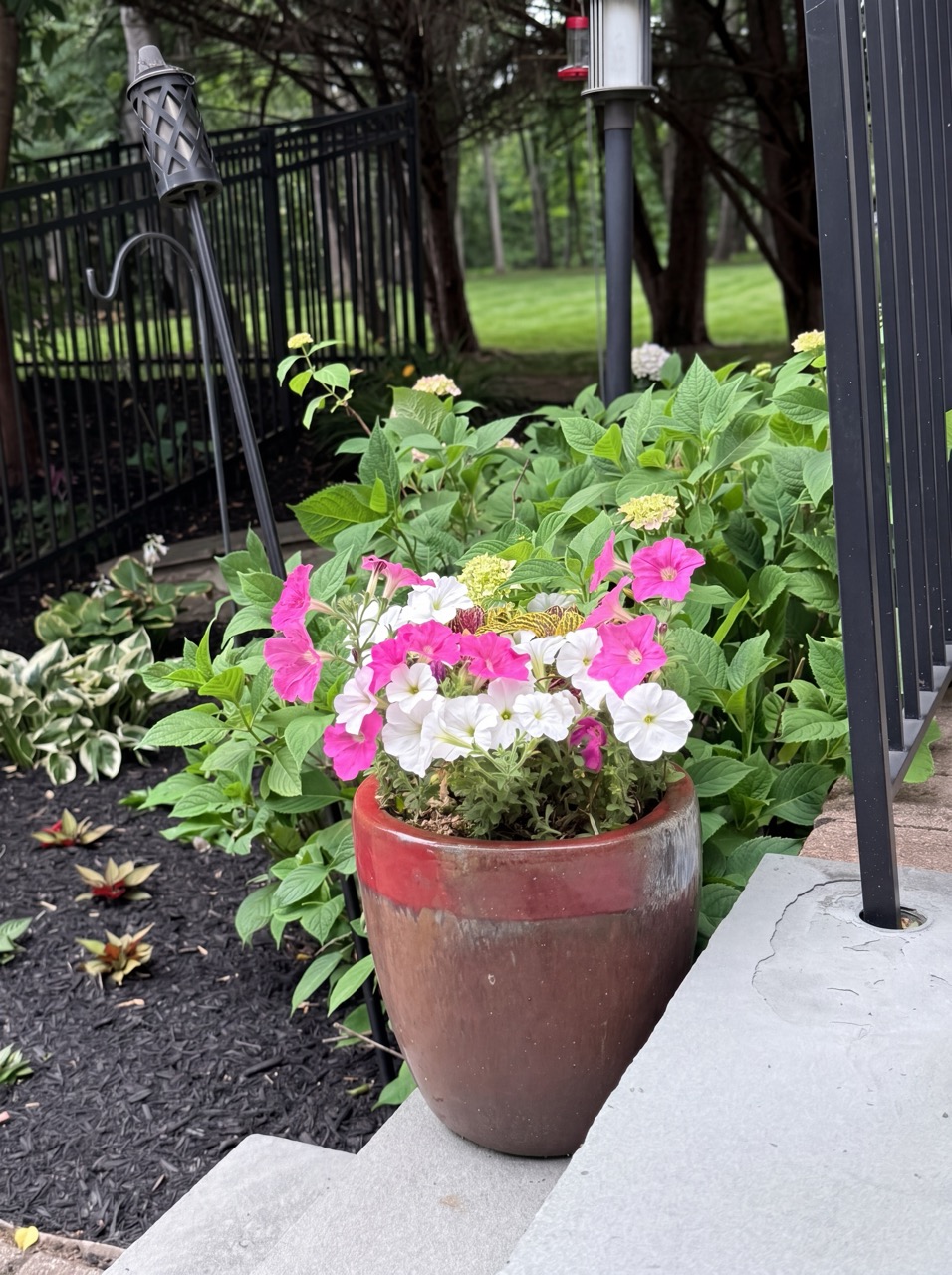 Container plantings with pink and white petunias on stone steps by Green Life Landscaping