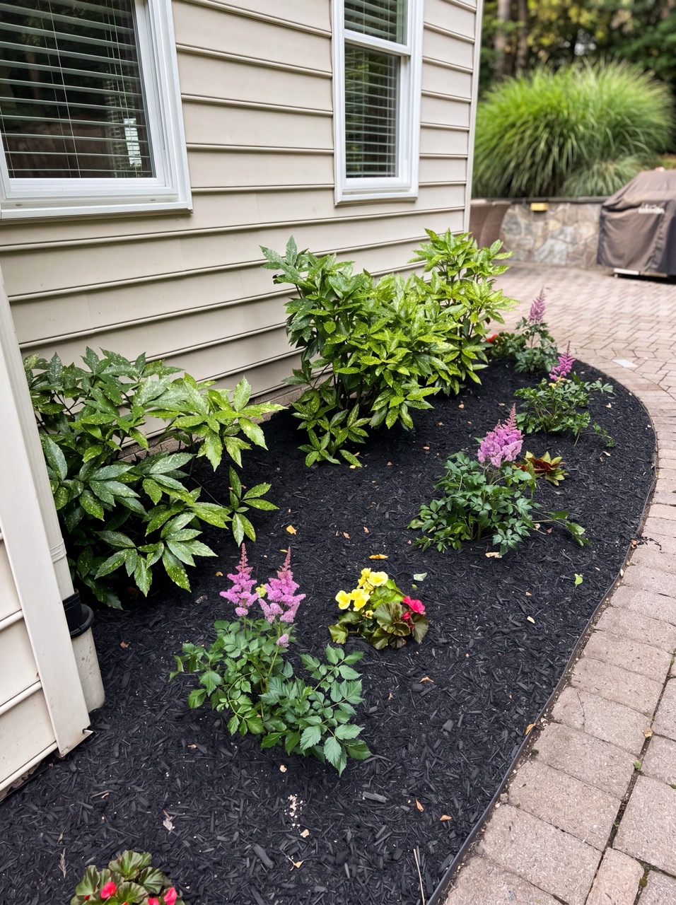 Side-yard planting refresh with astilbe and fresh mulch by Green Life Landscaping